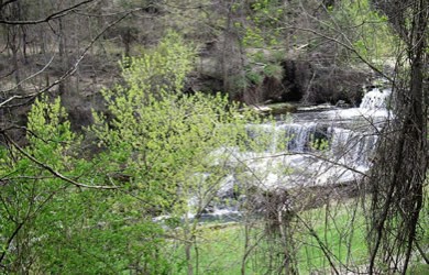 Seneca Mill