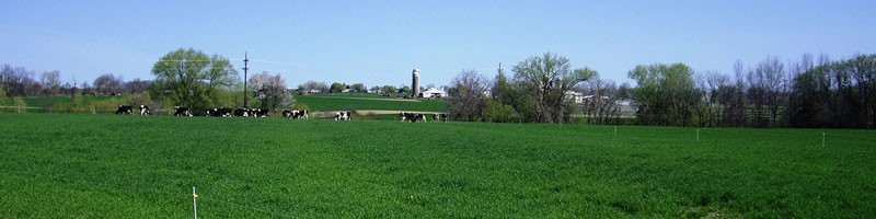 Stiles Dairy Farm