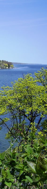 Lake Shore View