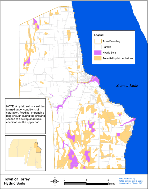 Hydric Soils